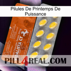 Power Spring Pills 42